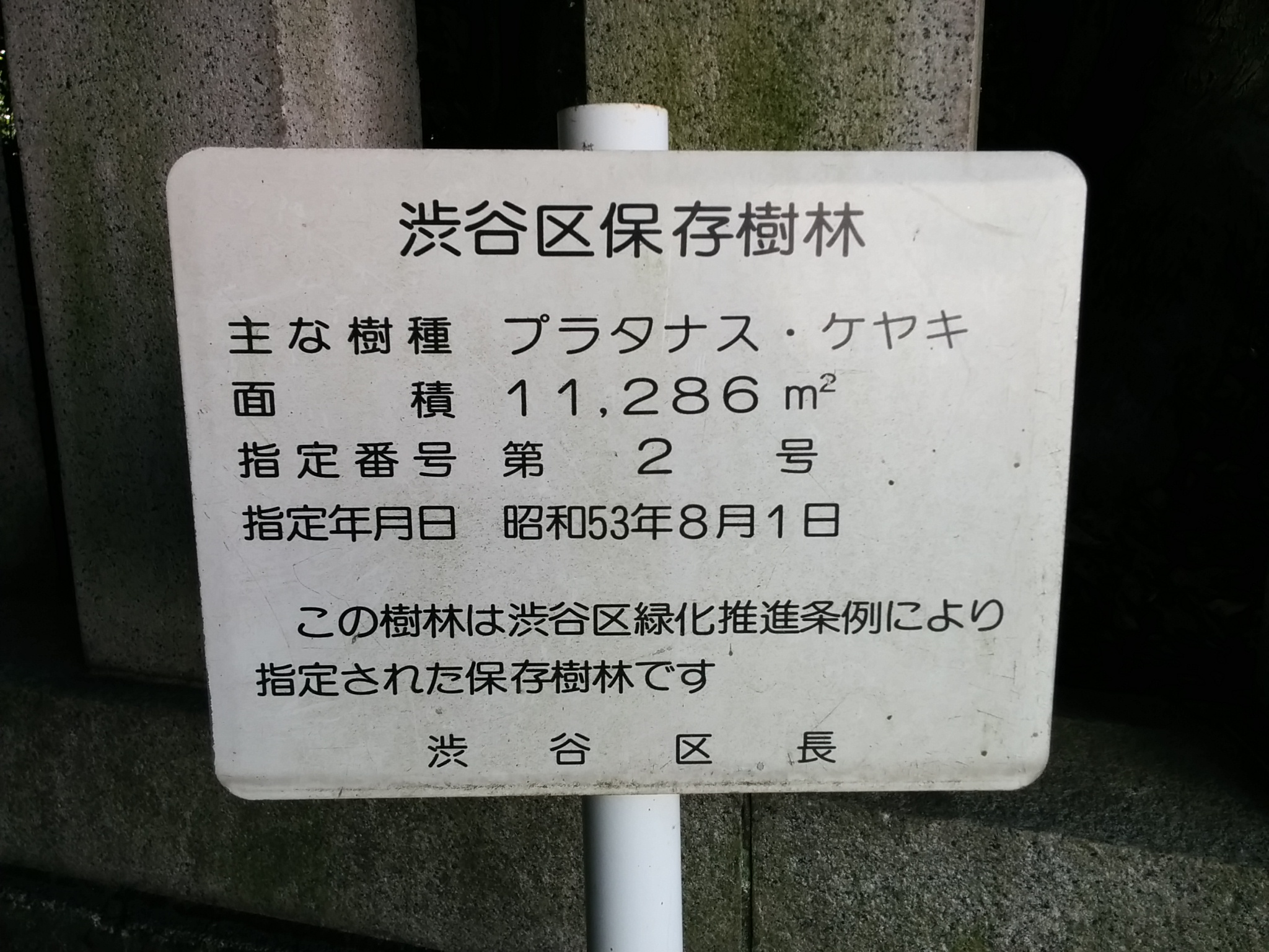 渋谷氷川神社（区保護の標識）