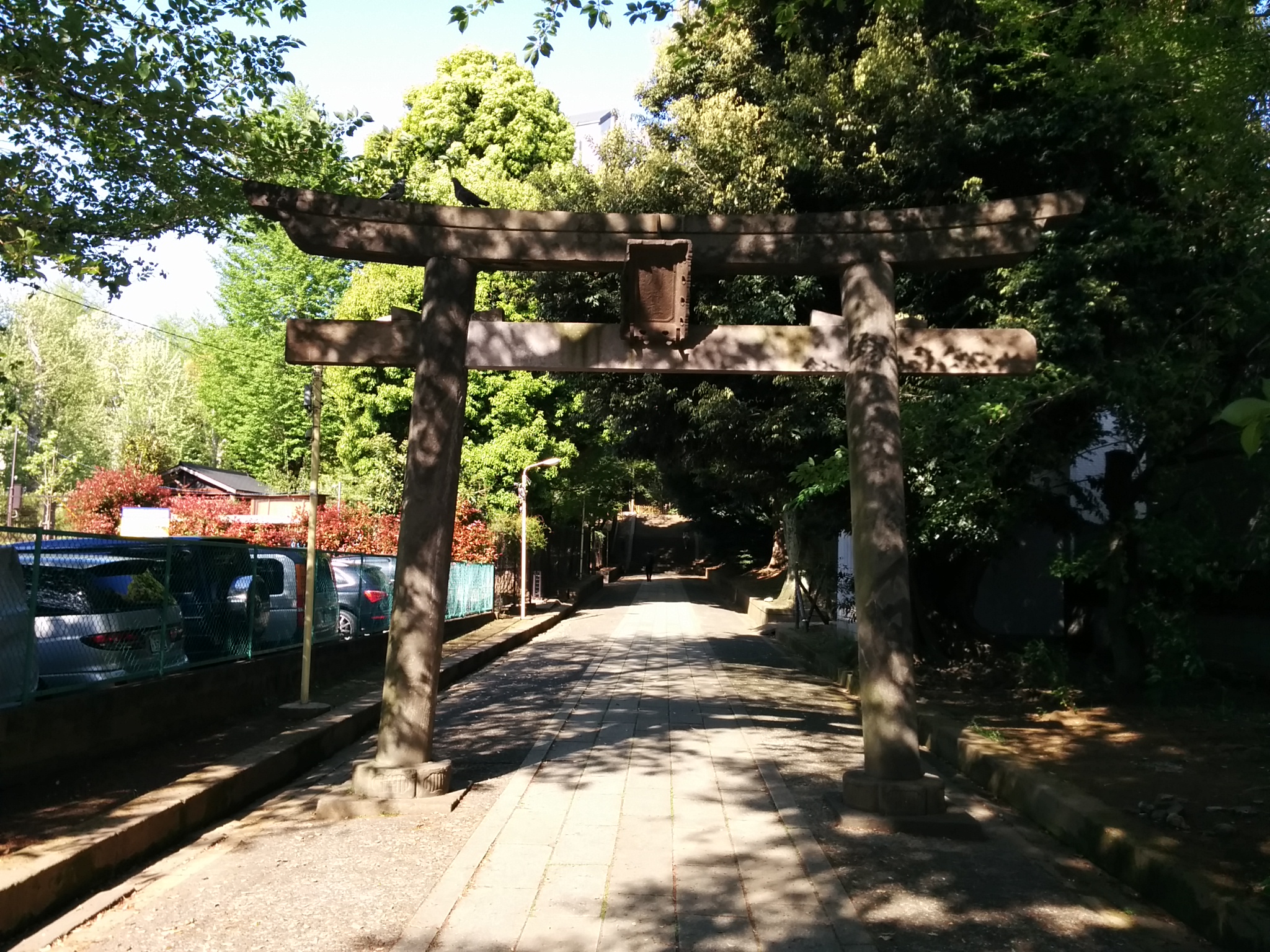 渋谷氷川神社（南口鳥居と鎮守の森）
