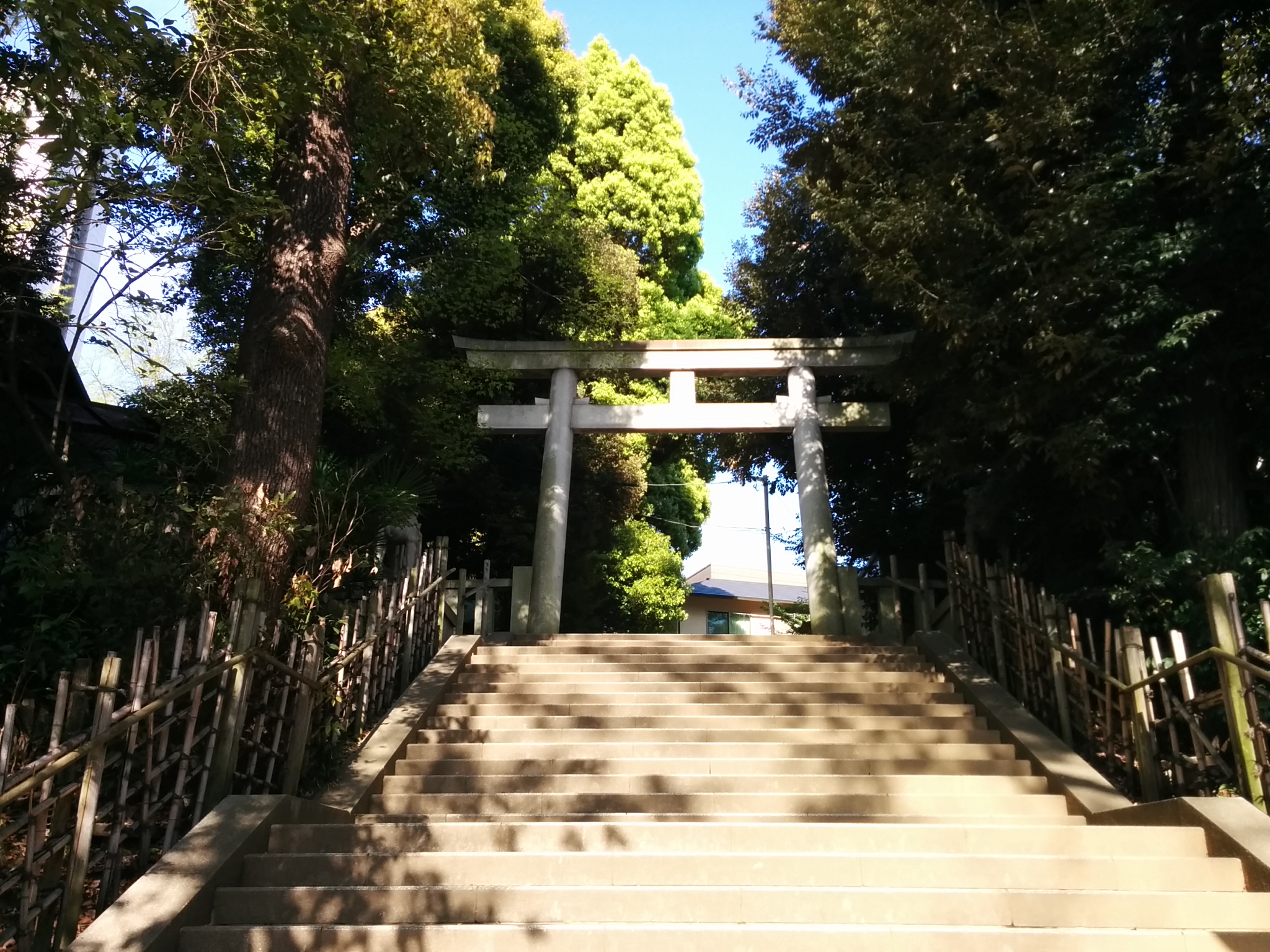 渋谷氷川神社（拝殿への石段）