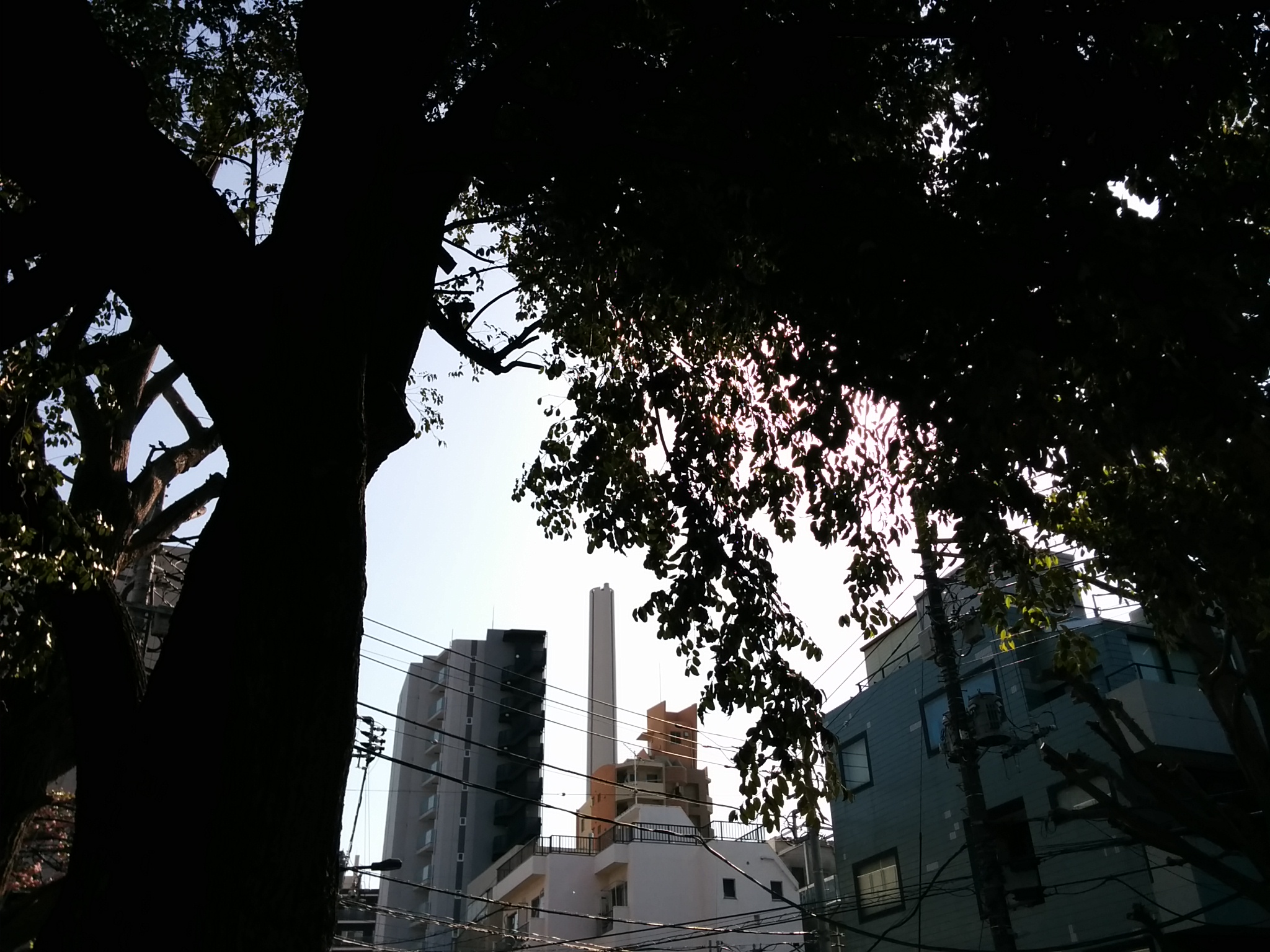渋谷氷川神社（煙突）