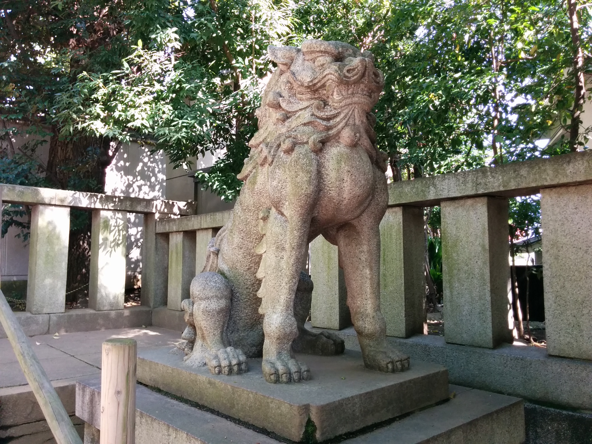 渋谷氷川神社（狛犬うん）
